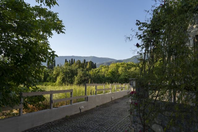 The lane past the garden towards the mountain
