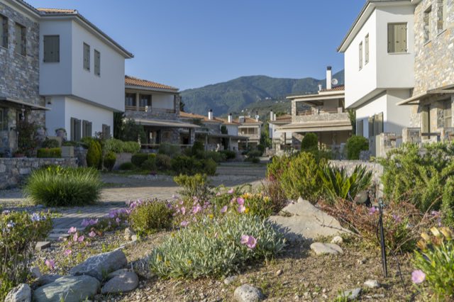 Flowering garden beds between the neighbouring houses