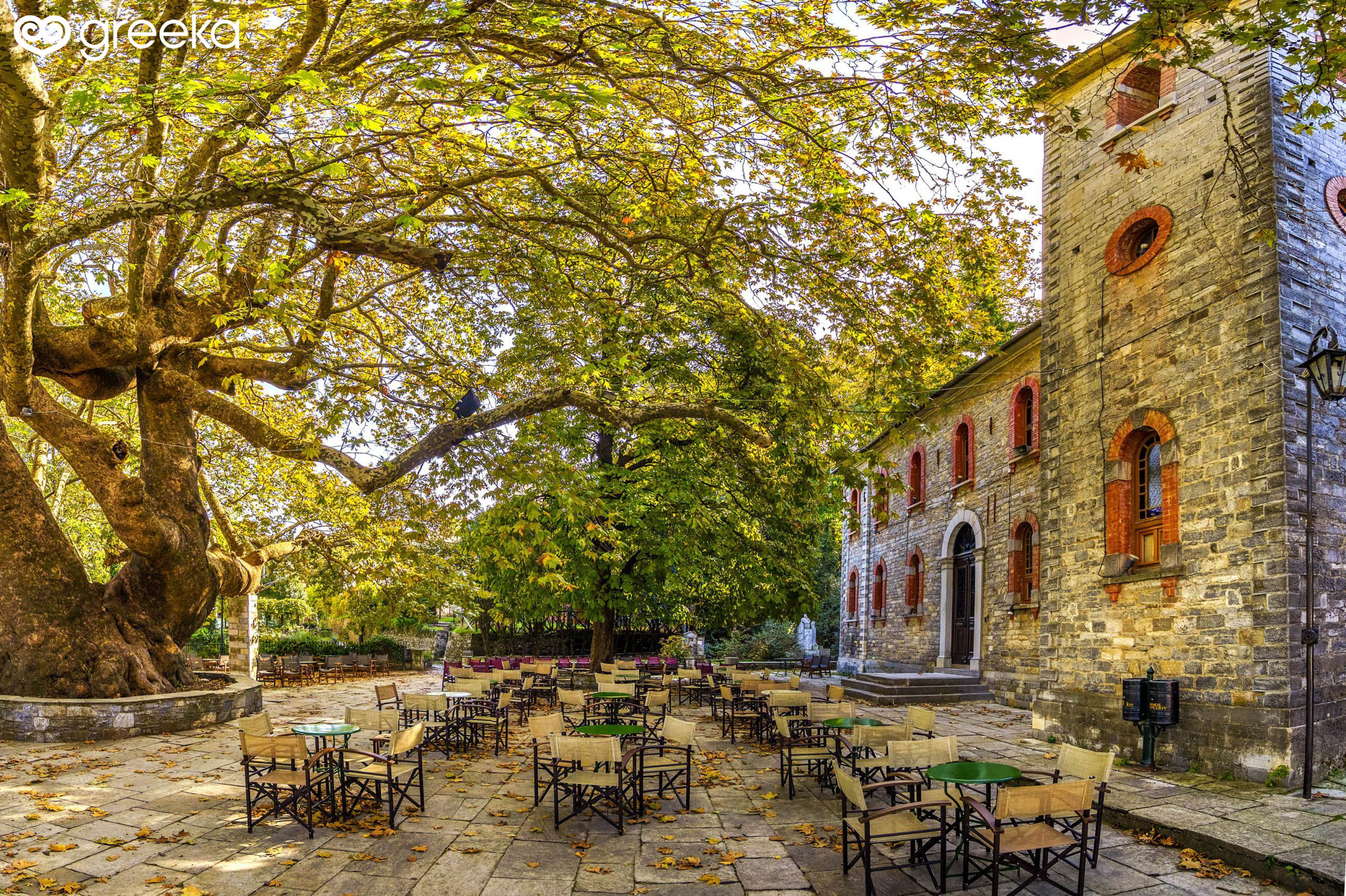 Chestnut forest and the ancient plane tree at Tsagarada